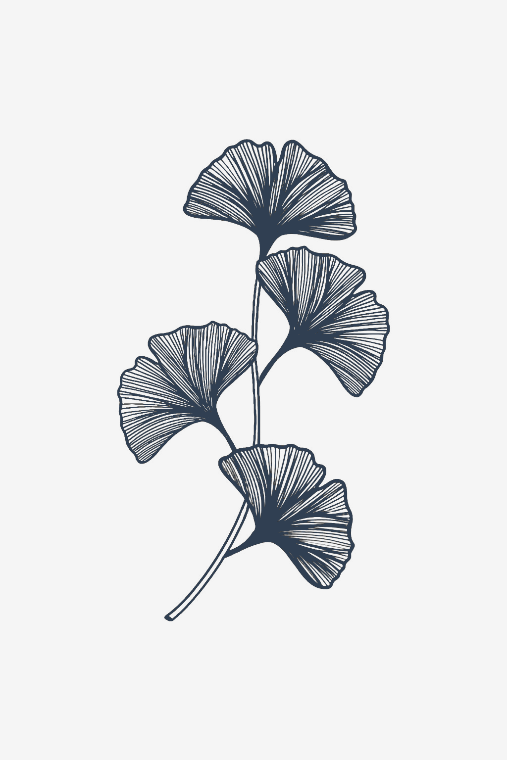 De fan van het leven