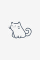 Petit chat