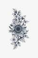Solaire