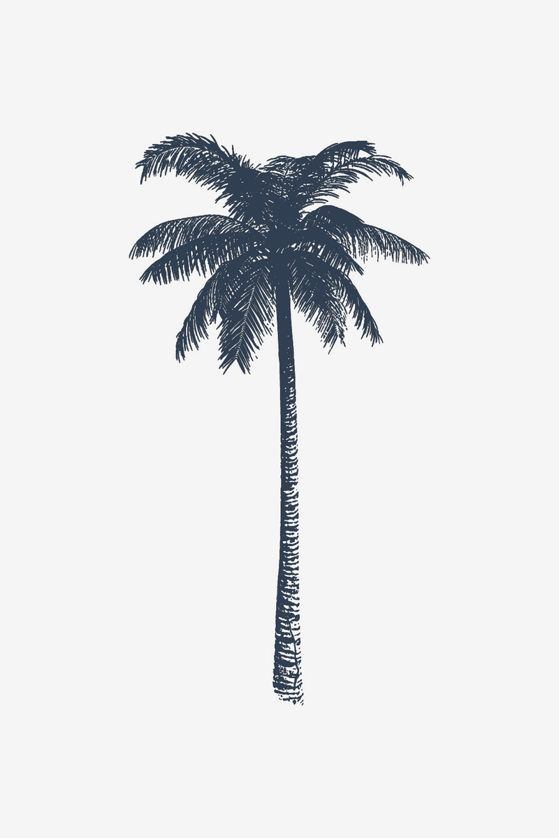 Paradis tropical