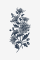 Fleurs d'automne