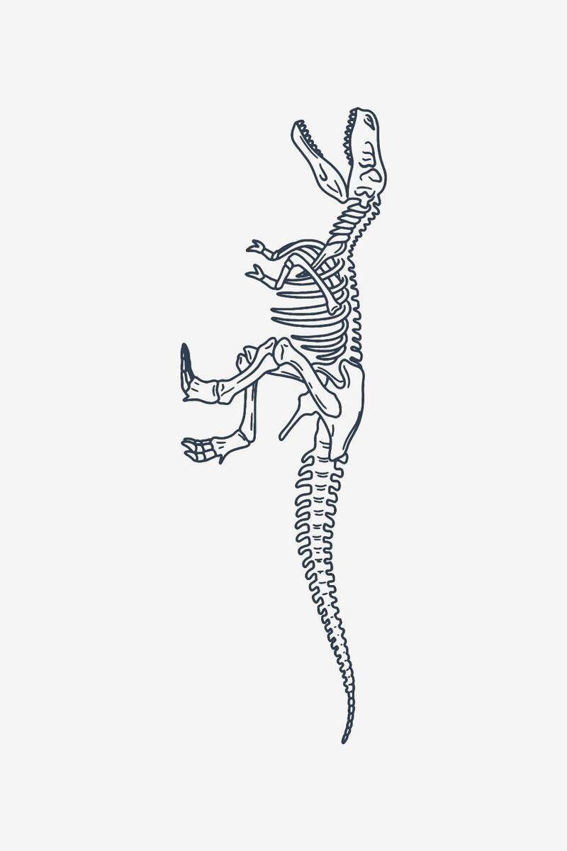 Squelette de T-Rex