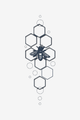 Géométrie naturelle