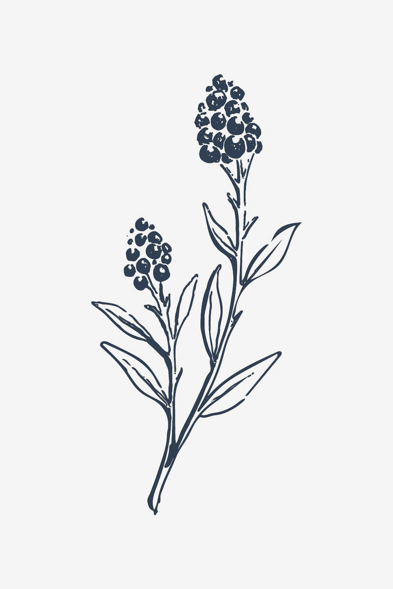 Fleurs sauvages