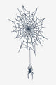 Architecte