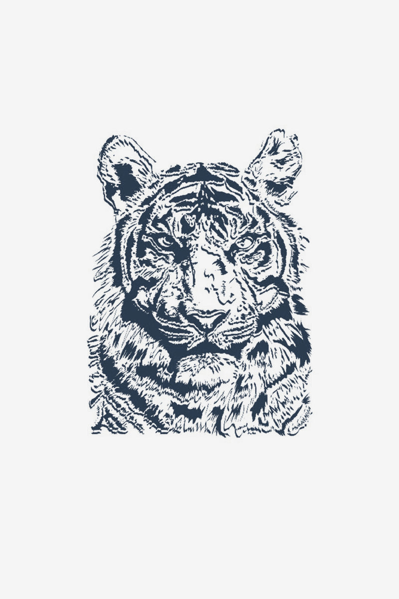 Tigre