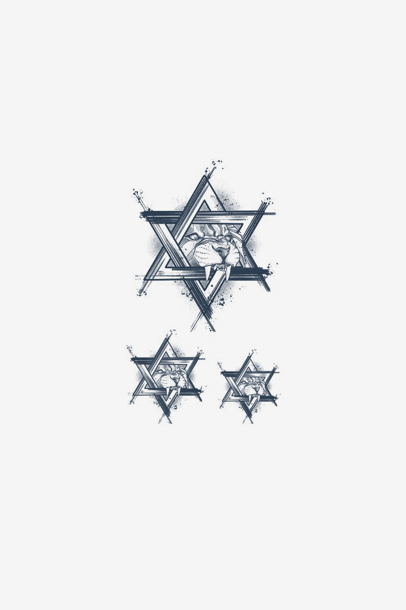 Étoile du Lion