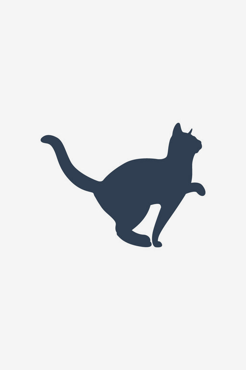 Chat 2
