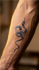Serpent gracieux